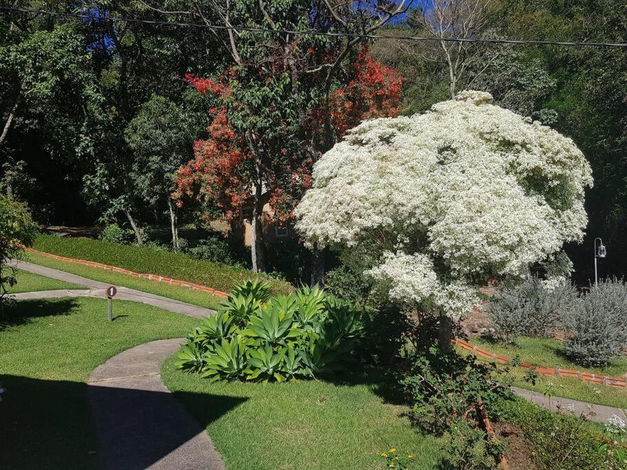Recanto Dos Beija Flores, Chale Lantana B Монти-Алегри-ду-Сул Экстерьер фото